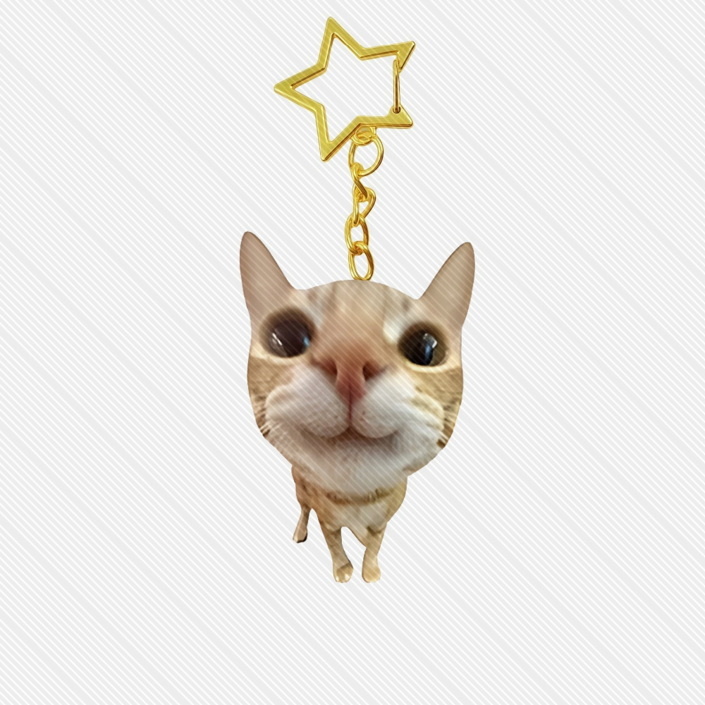 6CM Anime meme Acrylic Keychai - đánh giá và giá Anime Cosplay Meme